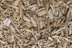 biomass boilers Yewhedges